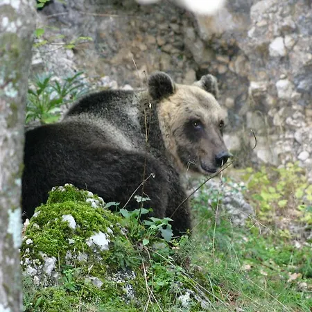 Prato Rosso Pescasseroli