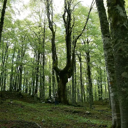 Maison d'hôtes Prato Rosso 3*