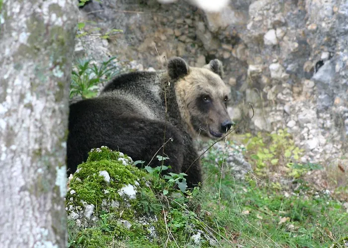 Prato Rosso Pescasseroli