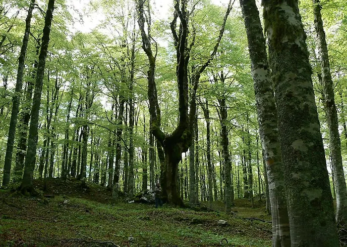 Guest house Prato Rosso 3*